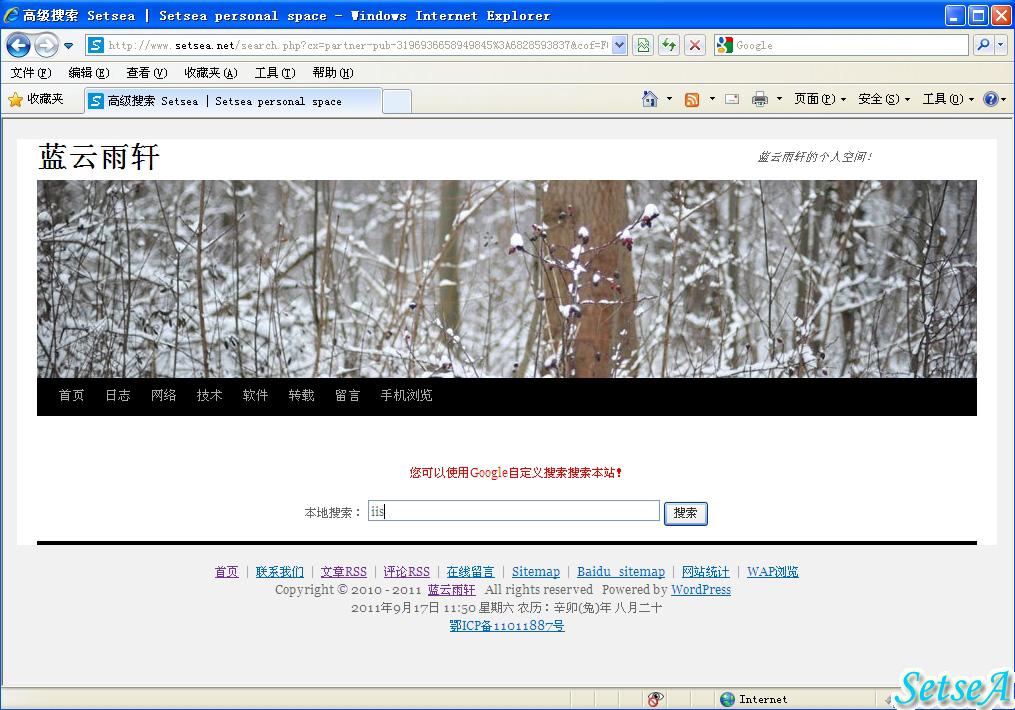 Google自定义搜索结果为空
